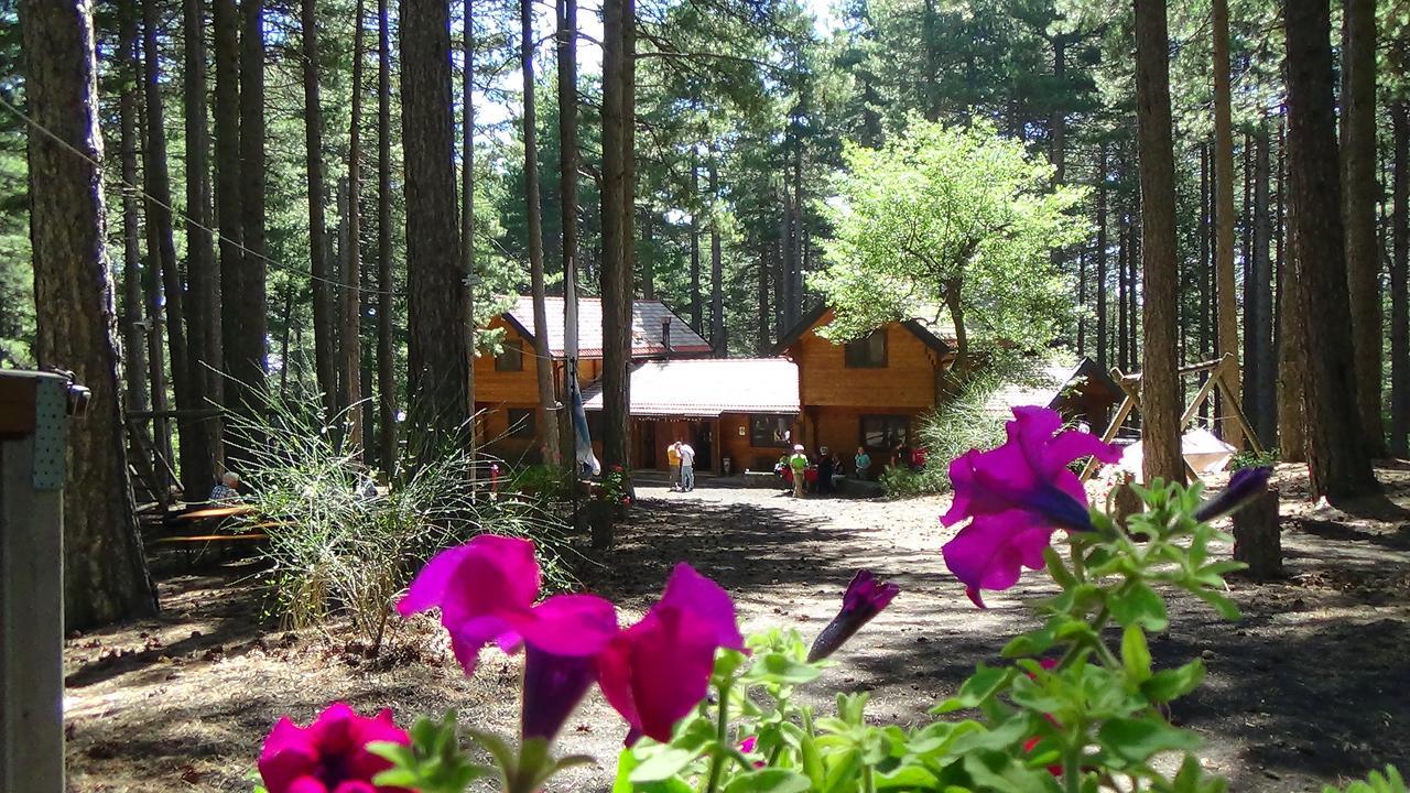 Chalet Clan Dei Ragazzi Hotell Linguaglossa Eksteriør bilde